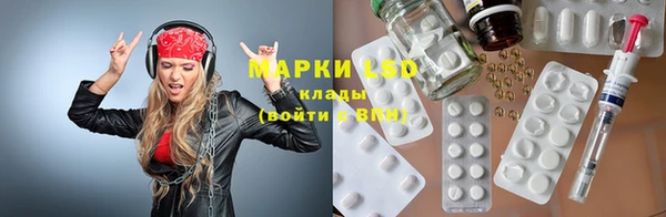 прущие грибы Каменка