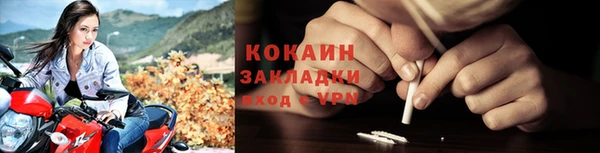 прущие грибы Янаул