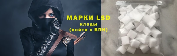 прущие грибы Янаул