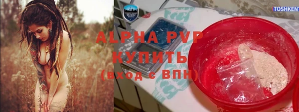 прущие грибы Янаул