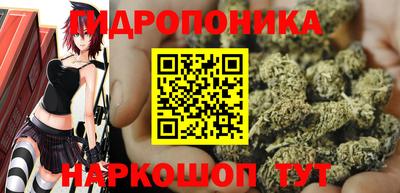 apvp Абакан