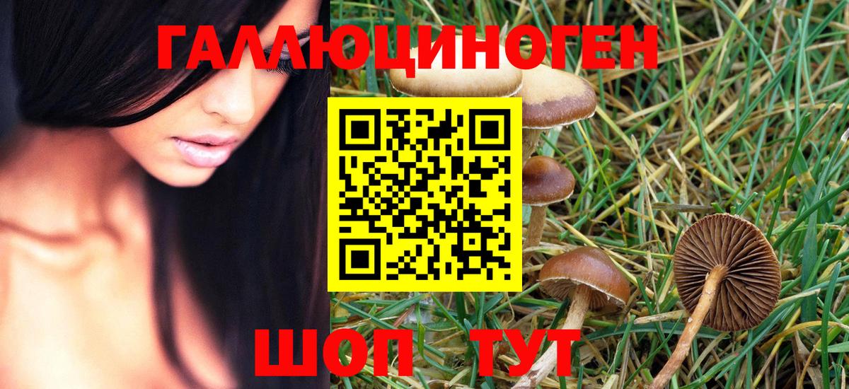 Галлюциногенные грибы ЛСД Алейск
