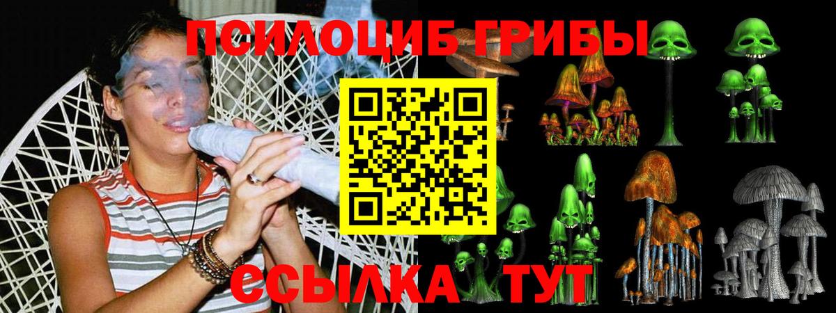 Гарик  Канабис  Экстази  Алейск  APVP  Вход с VPN  Меф  Бошки Шишки 