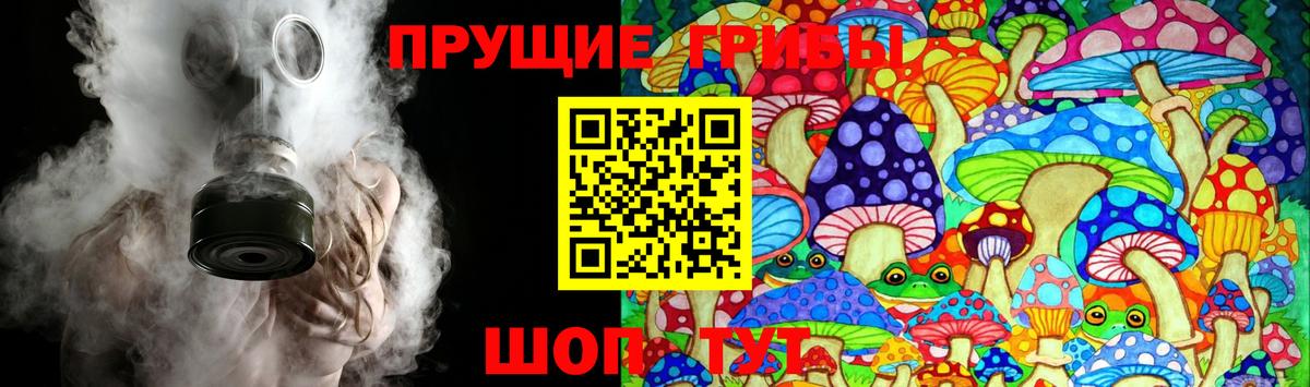 Галлюциногенные грибы GOLDEN TEACHER Алейск