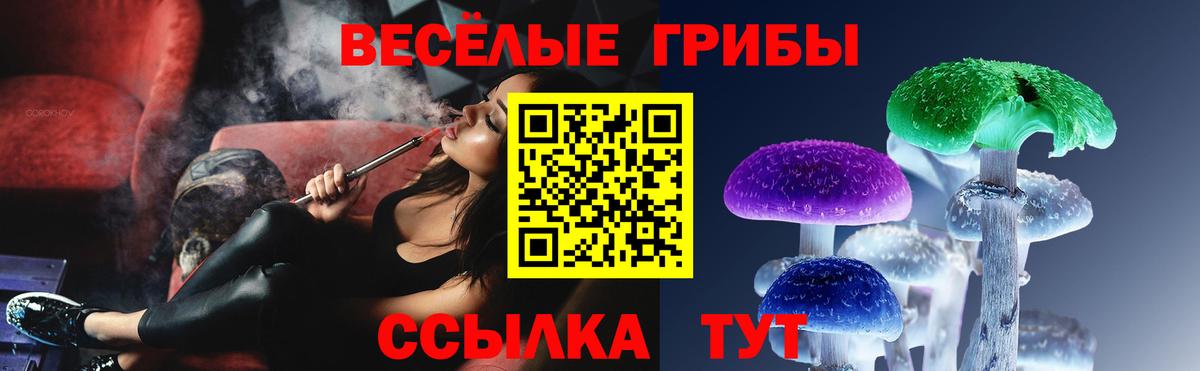 Алейск  Галлюциногенные грибы мицелий  Галлюциногенные грибы GOLDEN TEACHER  Вход с VPN 