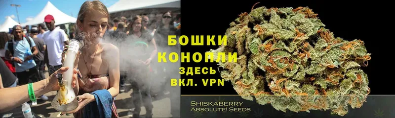 Марихуана SATIVA & INDICA  купить закладку  Алейск 